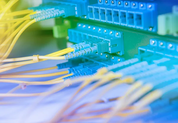 Panel de interruptor de red de fibra con algunos cables de red amarillos —  Fotos de Stock