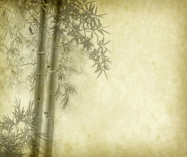 Eski grunge kağıt doku arka planında bambu — Stok fotoğraf