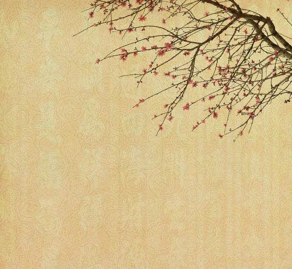 Primavera flor de ameixa na velha antiguidade papel vintage backgro — Fotografia de Stock