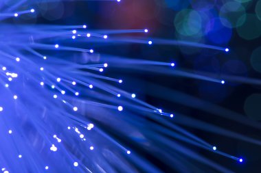 fiber optik ağ kablosu