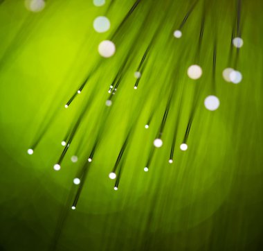 fiber optik ağ kablosu