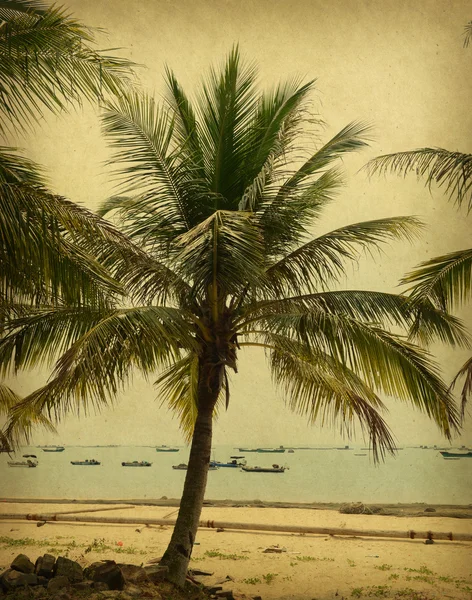 Stare tło papieru z liściem palmy — Zdjęcie stockowe