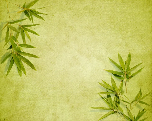 Bamboo on old grunge paper texture background — Stock Photo, Image