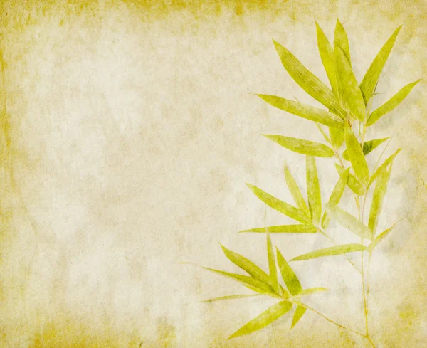 Bamboo on old grunge paper texture background
