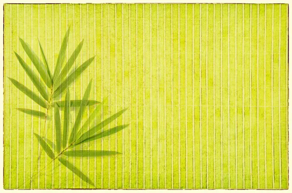 Bambus na starém grunge papíru textury pozadí — Stock fotografie