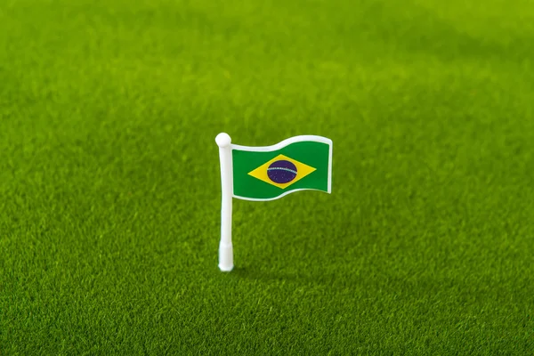 Bandera de Brasil sobre hierba —  Fotos de Stock