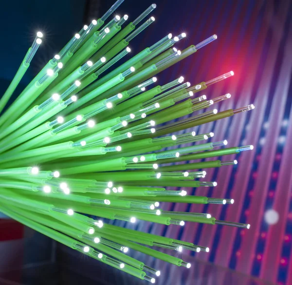 Kabel Optické Sítě Pro Ultra Rychlou Internetovou Komunikaci — Stock fotografie