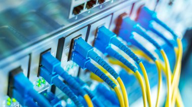 Fiber Optik kablolar optik portlara ve UTP 'ye bağlandı, ethernet portlarına bağlı ağ kabloları