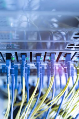 Fiber Optik kablolar optik portlara ve UTP 'ye bağlandı, ethernet portlarına bağlı ağ kabloları