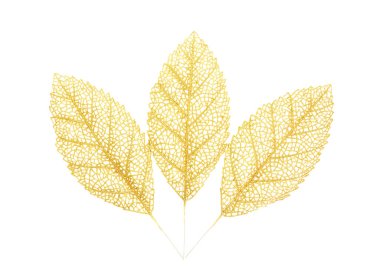 Beyaz yaprakların altın dalı