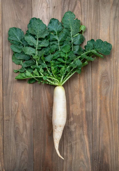 Daikon Radijs Houten Achtergrond — Stockfoto