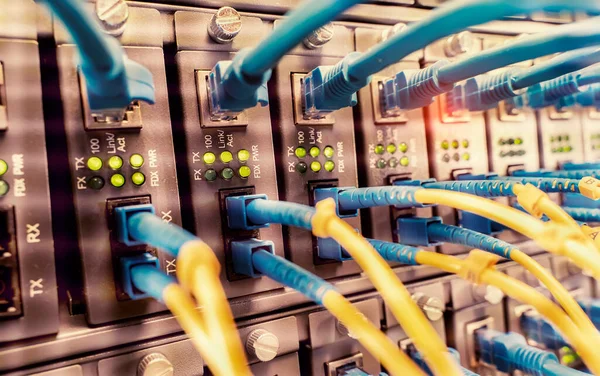 Fiber Optik kablolar optik portlara ve UTP 'ye bağlandı, ethernet portlarına bağlı ağ kabloları