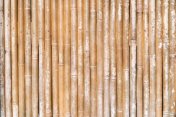 Fence Made Bamboo Sticks — Stock Photo, Image