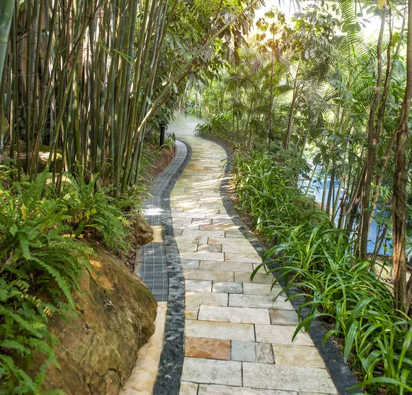 Spazierweg Einem Schönen Park Mit Vielen Bambussteinen — Stockfoto