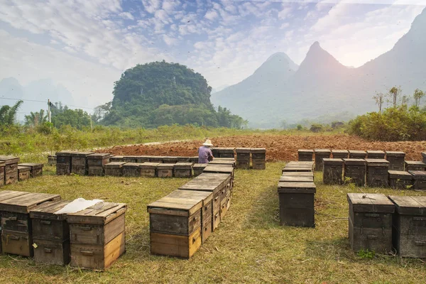 Ruches Bois Plein Air Guilin Guangxi Chine — Photo