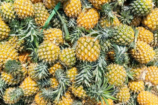 Taze Ananas Dolu Bir Kamyon — Stok fotoğraf