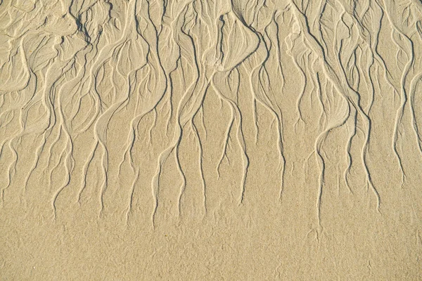 Muster Der Sanderosion Machen Schöne Linie Und Kurve Strand — Stockfoto