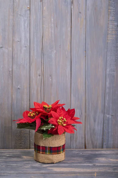 Röd Julstjärna Blommor Trä Bakgrund — Stockfoto