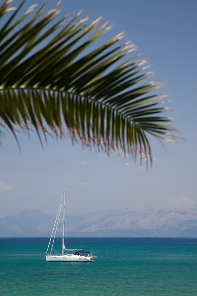 Boat and palm — Stock Photo, Image