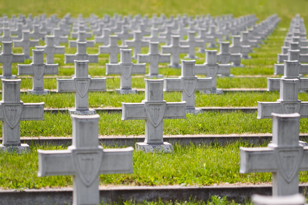 Military crosses in rows