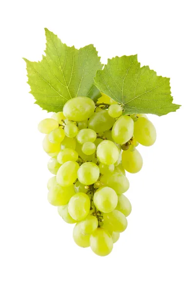 Uvas en blanco — Foto de Stock