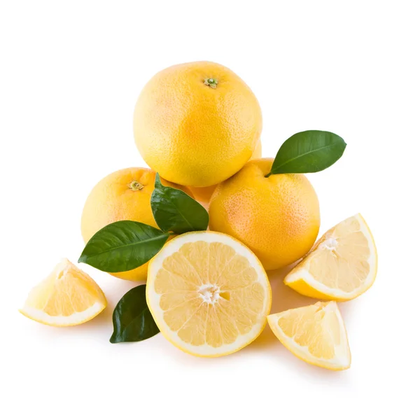 Weiße Grapefruits isoliert — Stockfoto