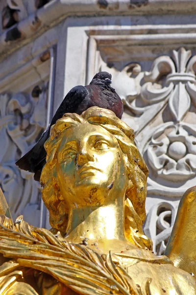 Pombo na cabeça do anjo perto da Catedral da Virgem Maria, Zagre — Fotografia de Stock