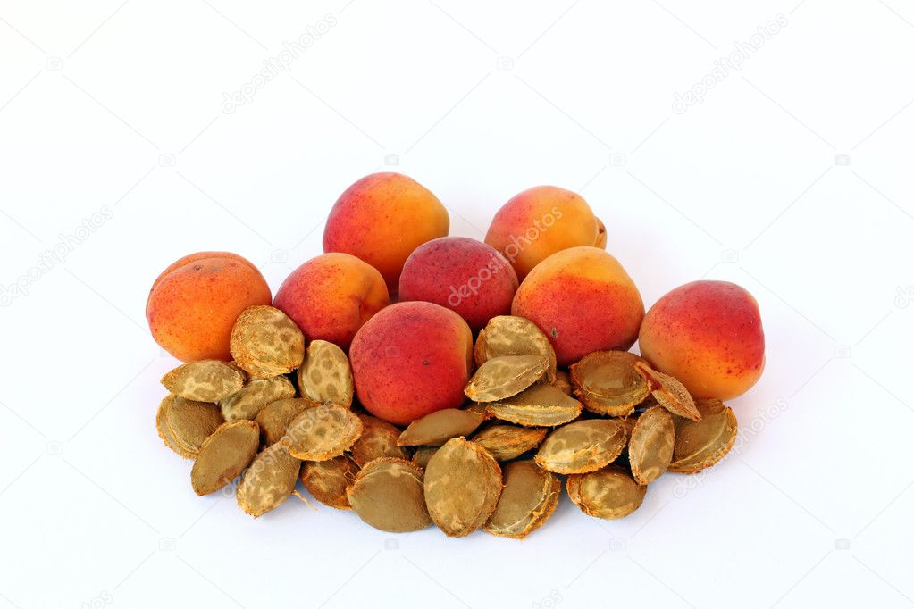 Apricots and apricot kernels, on white background