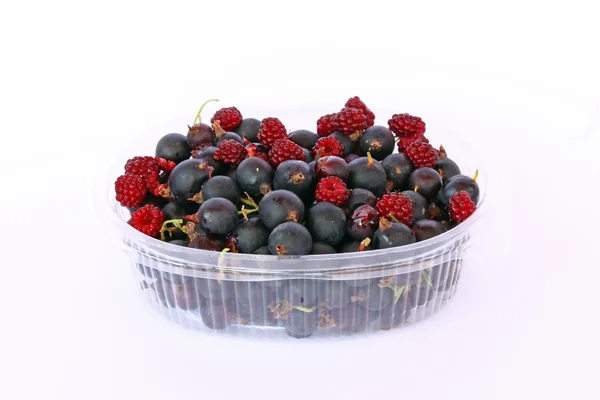 Fruit of Jostaberry — Stock Photo, Image