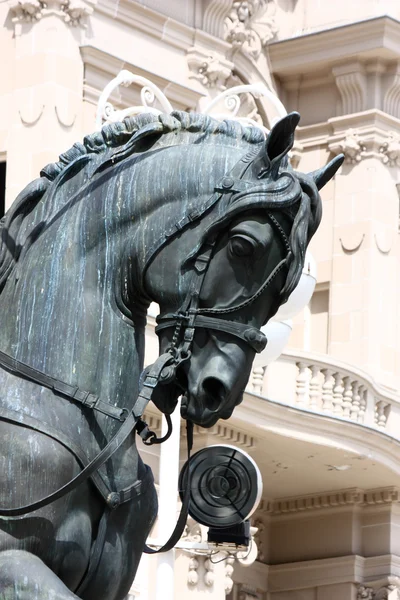 Cabeça de cavalo — Fotografia de Stock