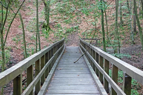 Holzbrücke — Stockfoto