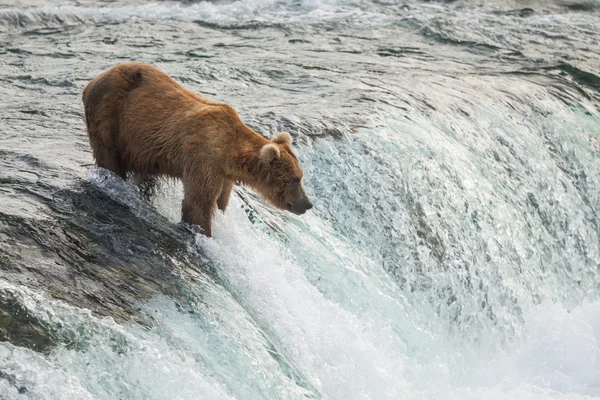 Oefenen op alaska — Stockfoto