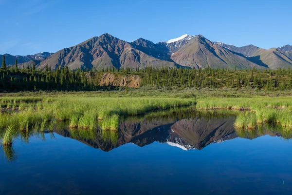 Lago no Alasca — Fotografia de Stock