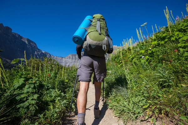 Wanderung im Gletscherpark — Stockfoto