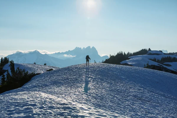 Hiking — Stock Photo, Image