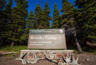 Brooks kampı