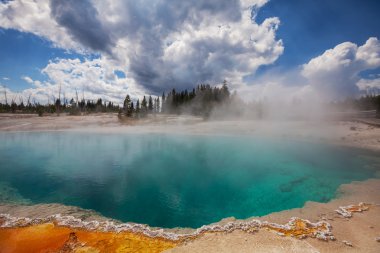 Yellowstone Parkı