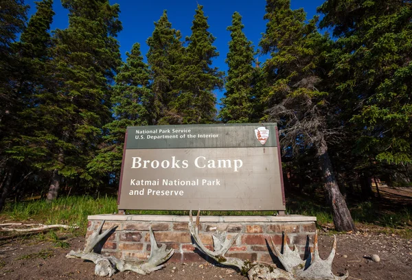 Campamento Brooks — Foto de Stock