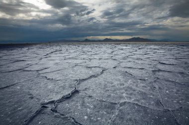 kuraklık arazi