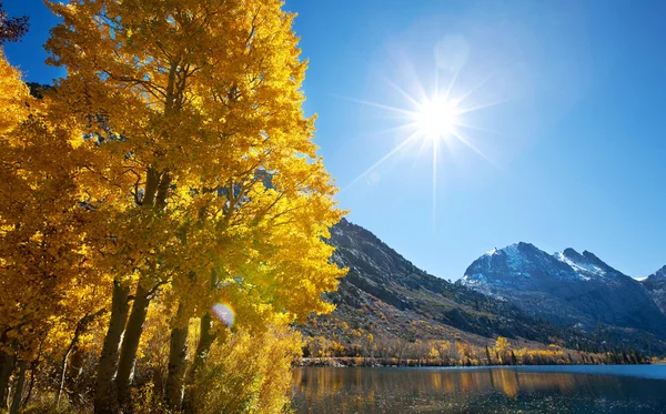 Autumn lake — Stock Photo, Image