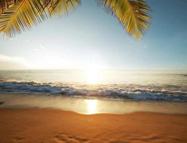 Puesta de sol en la playa —  Fotos de Stock