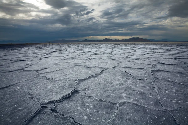 Drought land — Stock Photo, Image