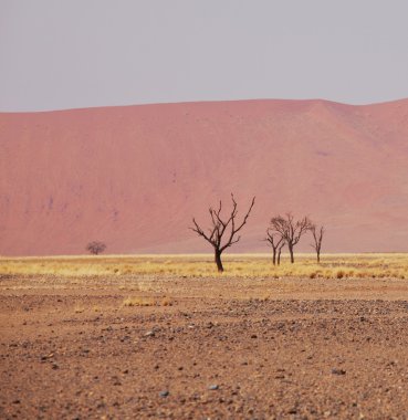 Namib