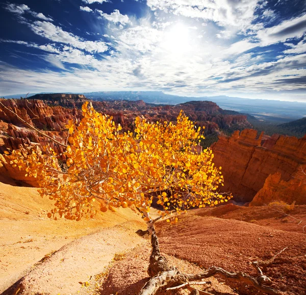 Otoño en Bryce — Foto de Stock