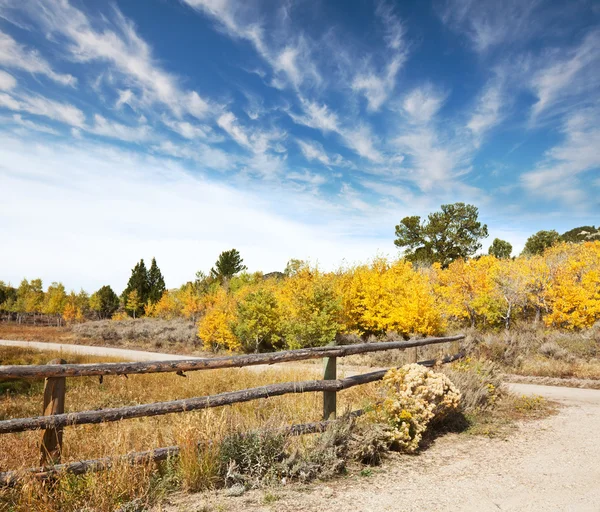 Temporada de otoño — Foto de Stock