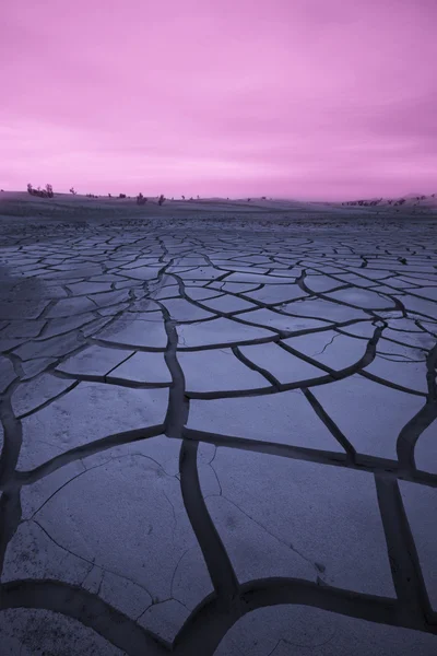 Siccità — Foto Stock