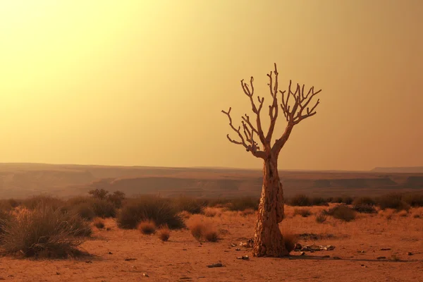 Namib — Foto de Stock