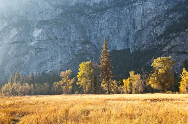 Outono em Yosemite — Fotografia de Stock
