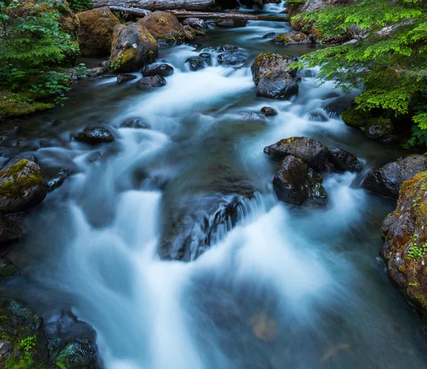 Cascata — Fotografia de Stock