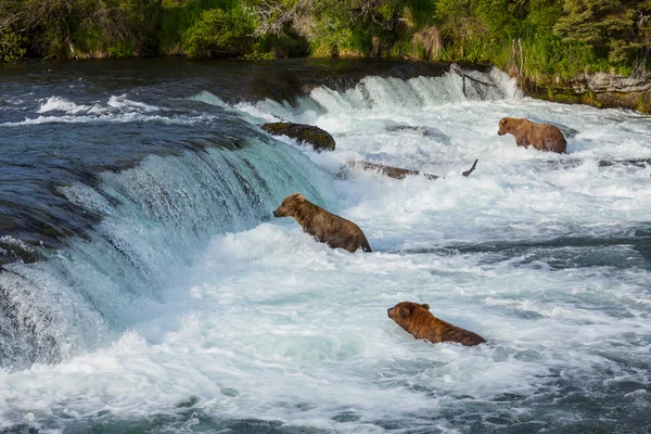 Oefenen op alaska — Stockfoto